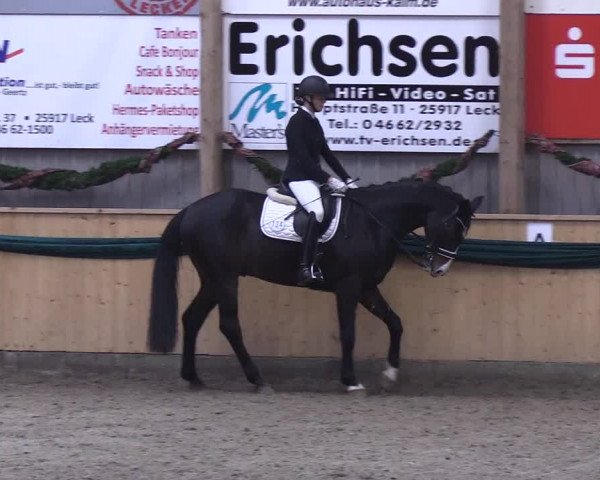 Reitturnier Leck 2018