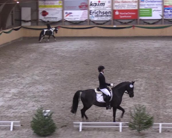 Reitturnier Leck 2018