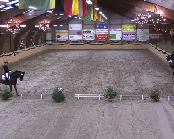 Reitturnier Leck 2018