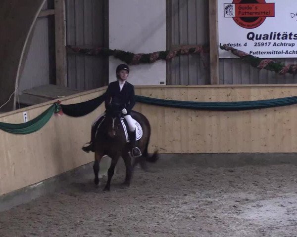Reitturnier Leck 2018