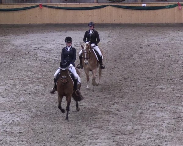 Reitturnier Leck 2018