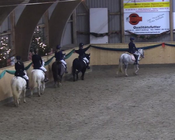 Reitturnier Leck 2018