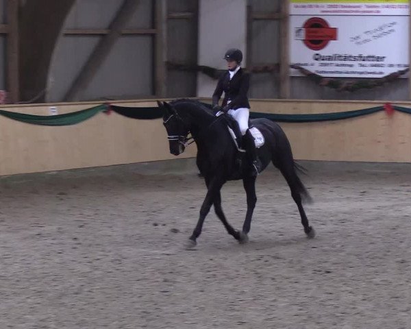 Reitturnier Leck 2018