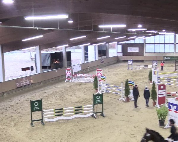Reitturnier Oelde 2018