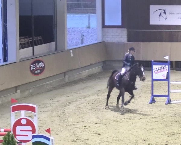 Reitturnier Oelde 2018