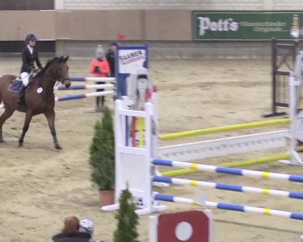 Reitturnier Oelde 2018