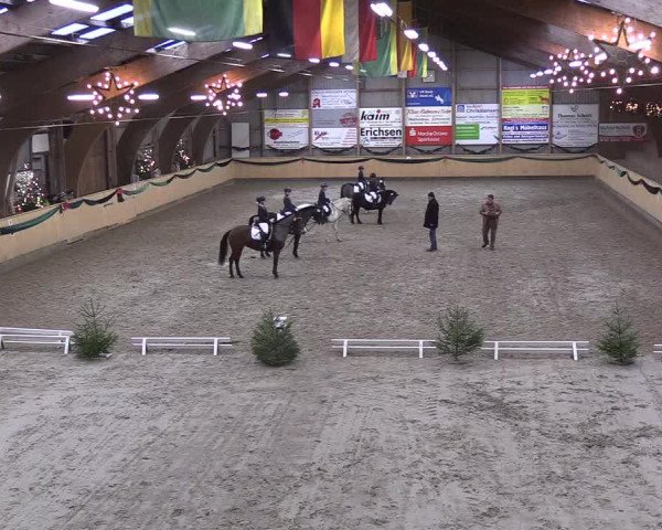 Reitturnier Leck 2018