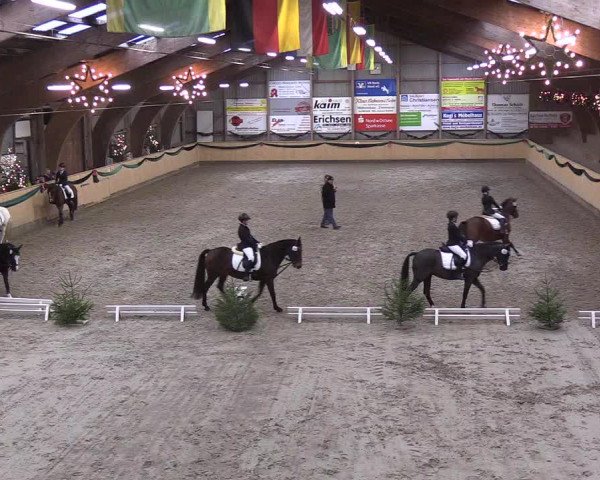 Reitturnier Leck 2018
