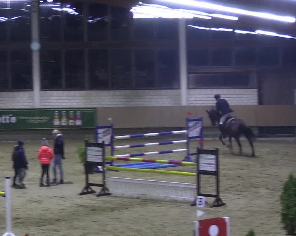 Reitturnier Oelde 2018