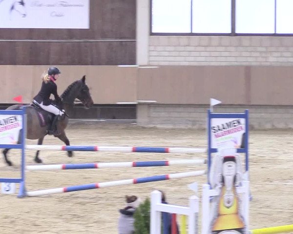 Reitturnier Oelde 2018