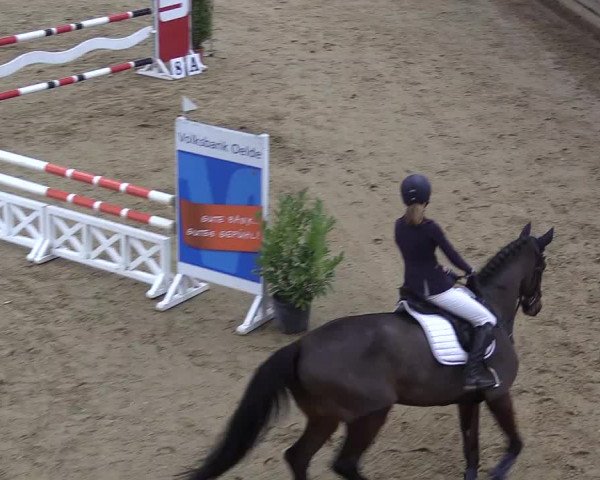 Reitturnier Oelde 2018
