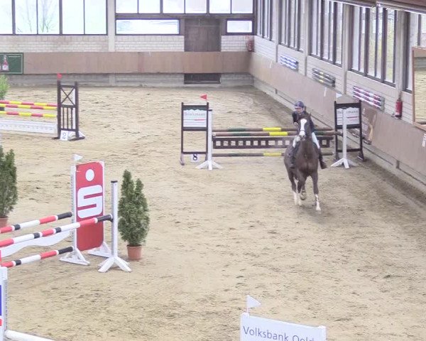Reitturnier Oelde 2018