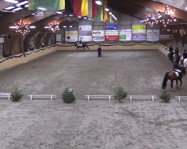 Reitturnier Leck 2018