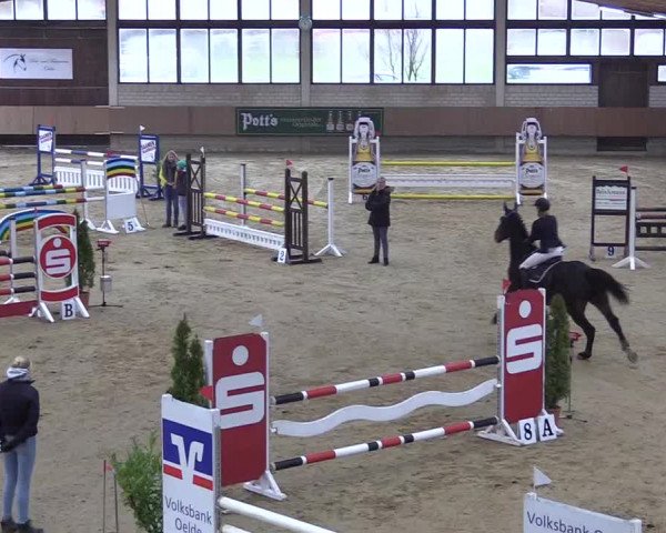 Reitturnier Oelde 2018
