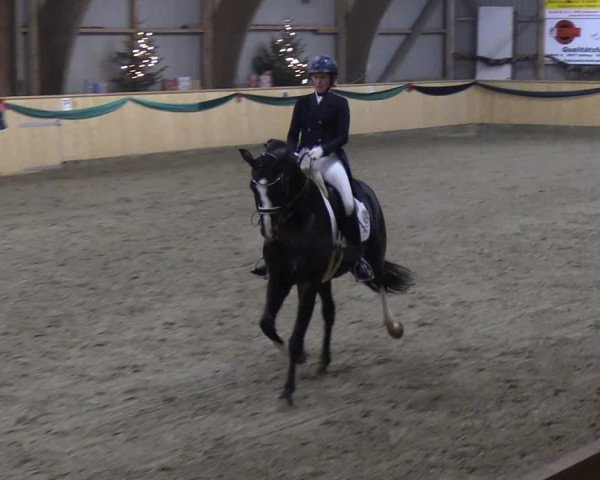 Reitturnier Leck 2018