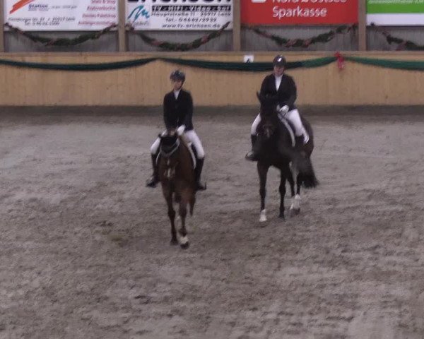 Reitturnier Leck 2018