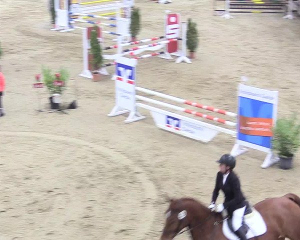 Reitturnier Oelde 2018