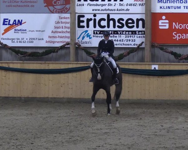 Reitturnier Leck 2018