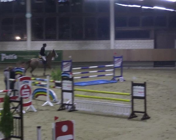 Reitturnier Oelde 2018