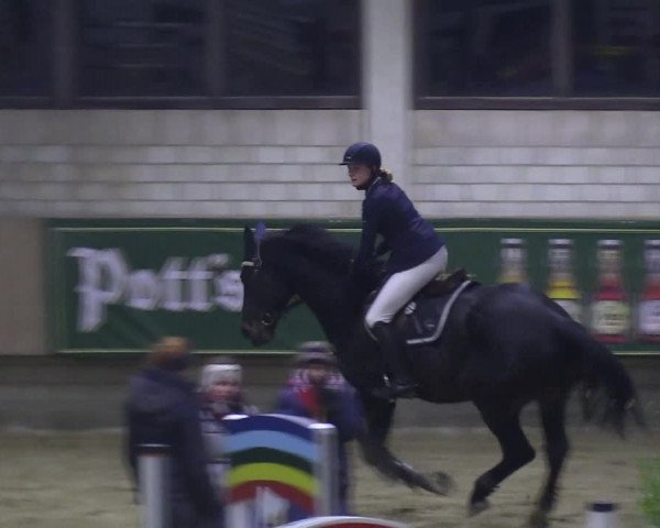 Reitturnier Oelde 2018