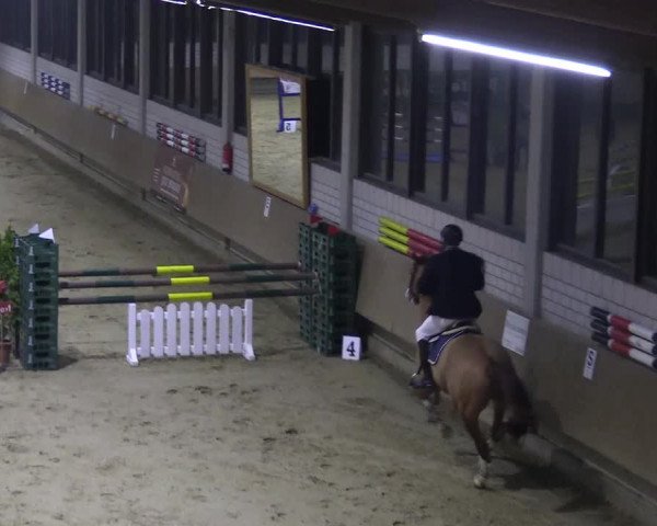 Reitturnier Oelde 2018