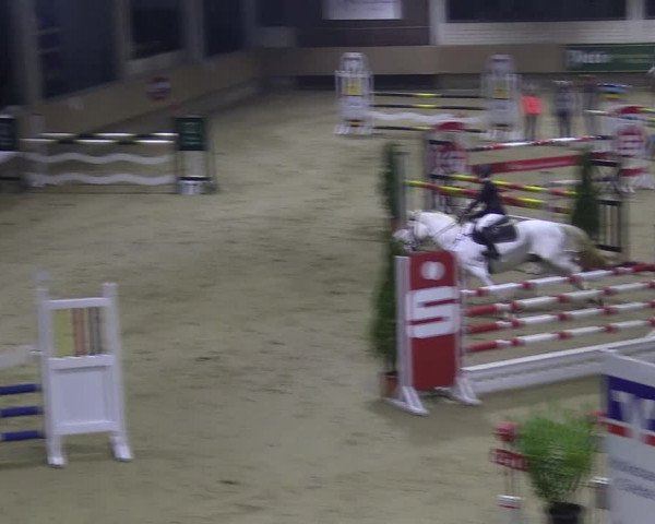 Reitturnier Oelde 2018