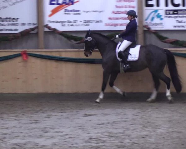 Reitturnier Leck 2018