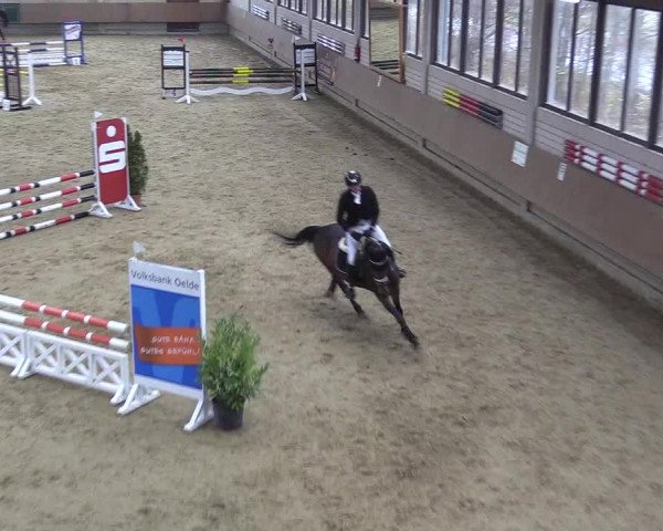 Reitturnier Oelde 2018