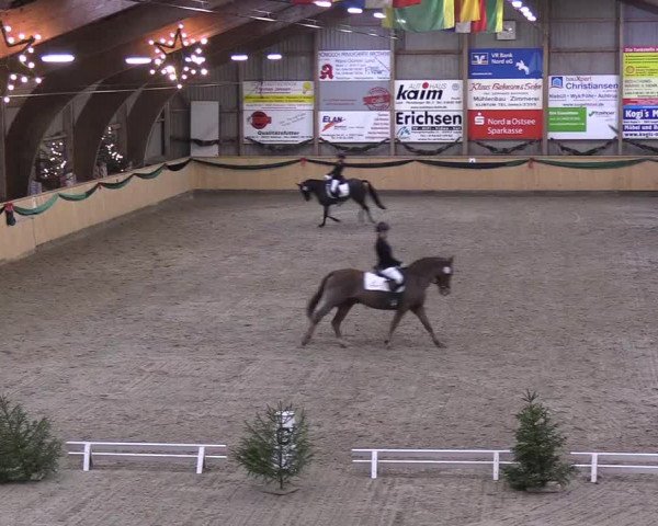 Reitturnier Leck 2018