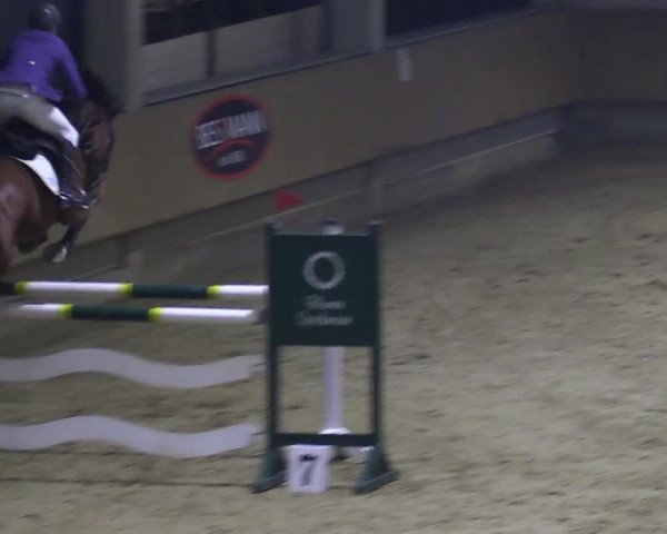 Reitturnier Oelde 2018