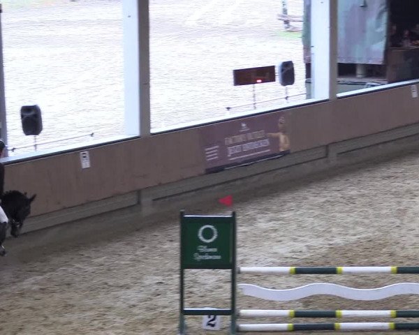 Reitturnier Oelde 2018