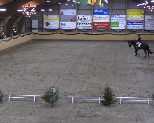Reitturnier Leck 2018