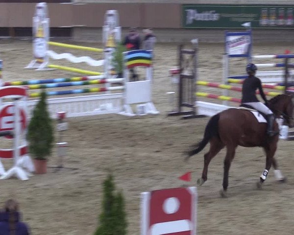 Reitturnier Oelde 2018
