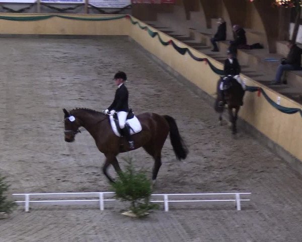 Reitturnier Leck 2018