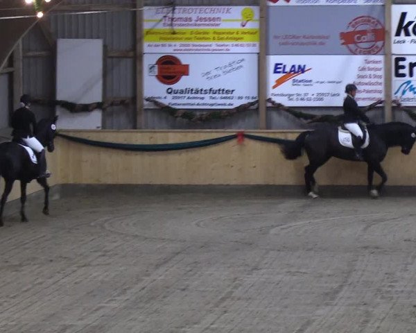 Reitturnier Leck 2018