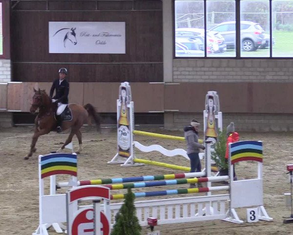 Reitturnier Oelde 2018