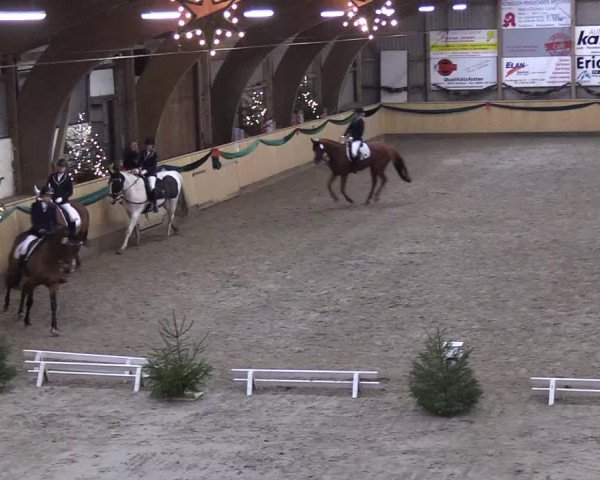 Reitturnier Leck 2018