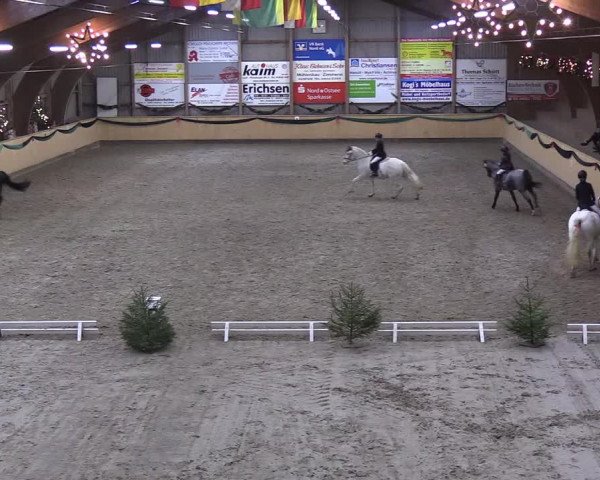 Reitturnier Leck 2018