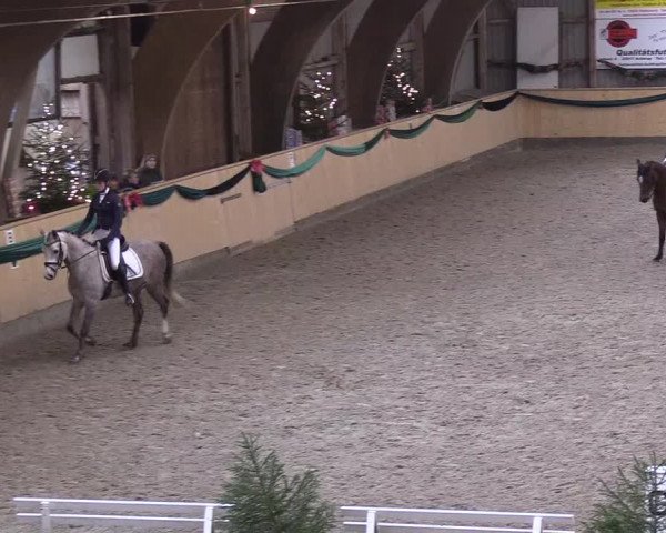 Reitturnier Leck 2018