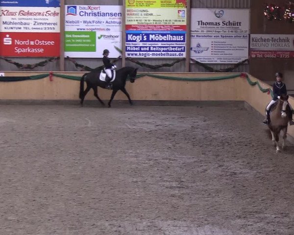 Reitturnier Leck 2018