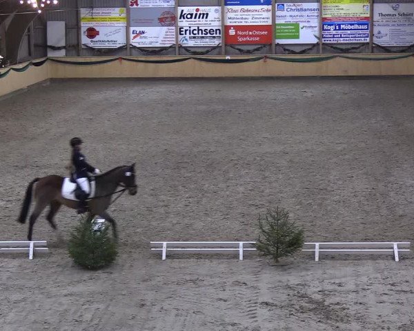 Reitturnier Leck 2018