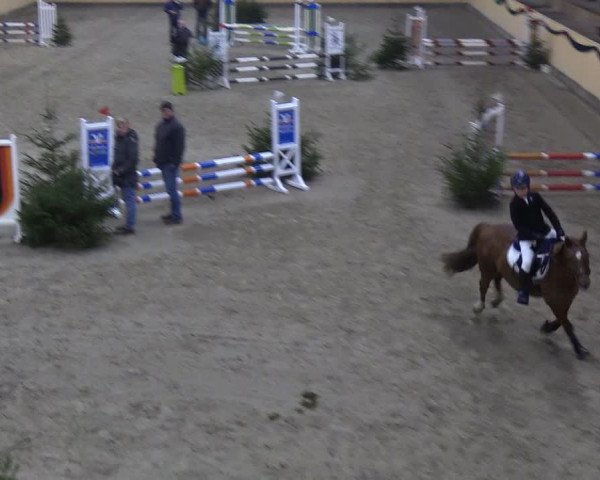 Reitturnier Leck 2018