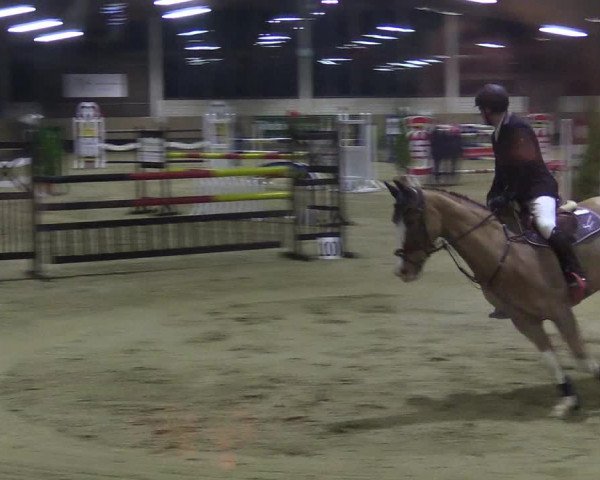 Reitturnier Oelde 2018