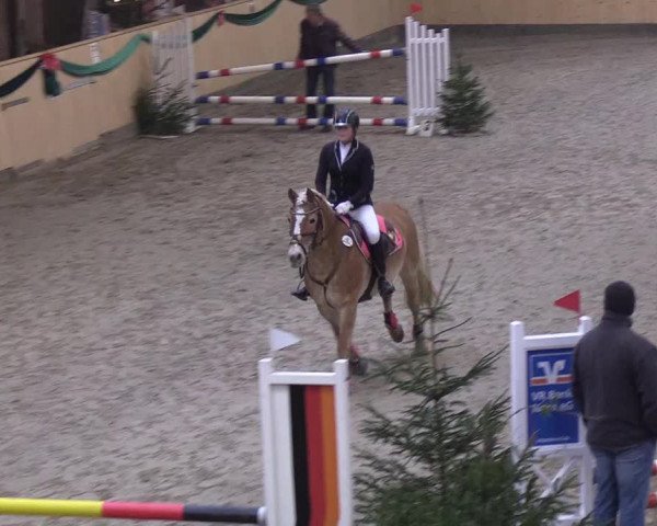 Reitturnier Leck 2018