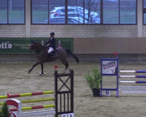 Reitturnier Oelde 2018