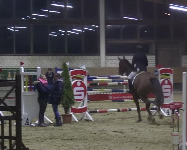 Reitturnier Oelde 2018