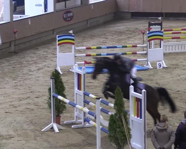 Reitturnier Oelde 2018