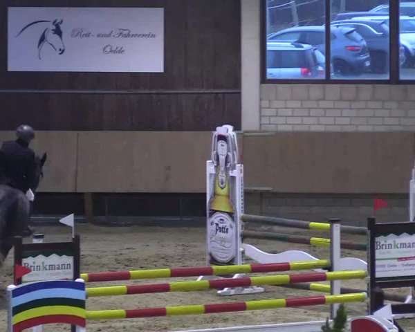 Reitturnier Oelde 2018