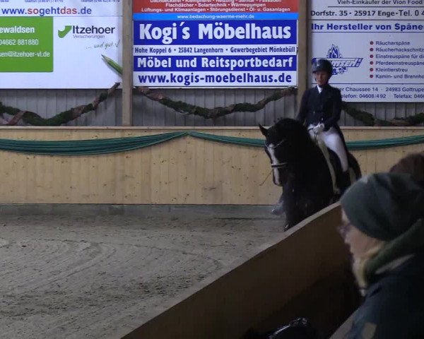 Reitturnier Leck 2018