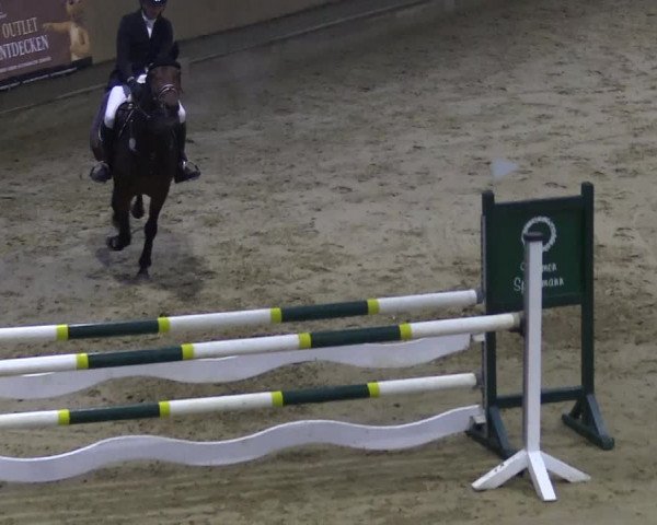Reitturnier Oelde 2018